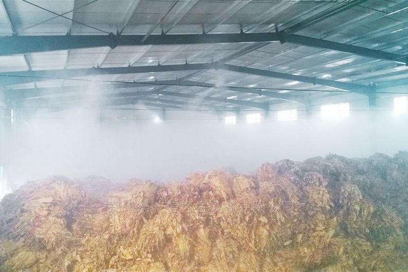 提升煙葉加工質量，高效回潮很重要