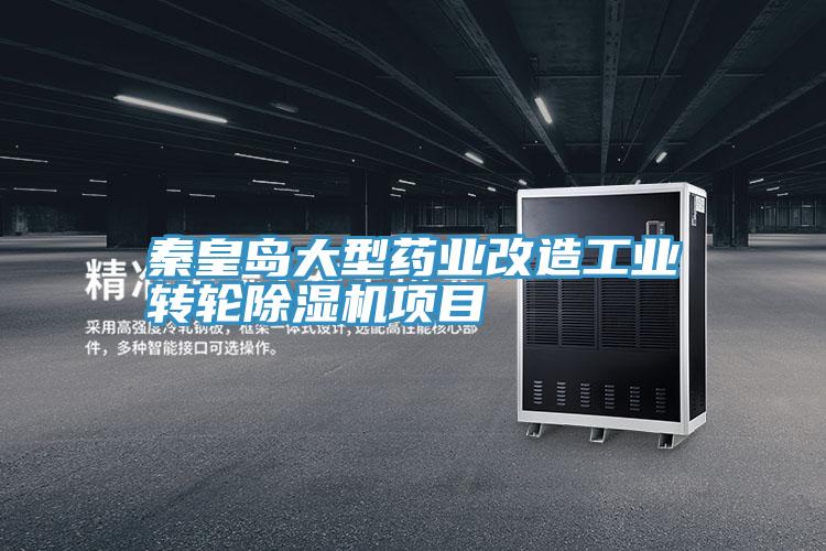 秦皇島大型藥業改造工業轉輪PICACG哔咔官网入口項目