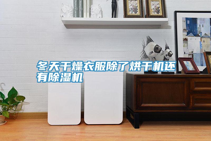 冬天幹燥衣服除了烘幹機還有PICACG哔咔官网入口