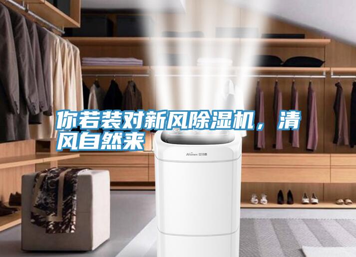 你若裝對新風PICACG哔咔官网入口，清風自然來