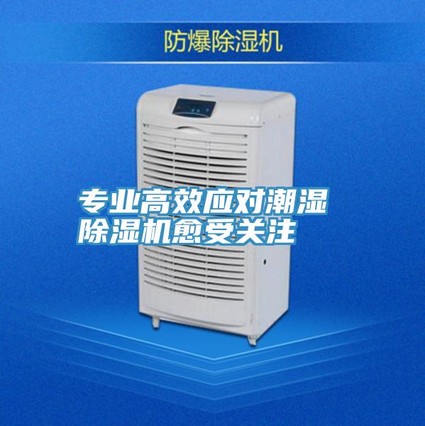 專業高效應對潮濕 PICACG哔咔官网入口愈受關注