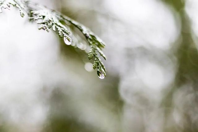 空氣濕度大帶來的危害有哪些，你知道嗎？