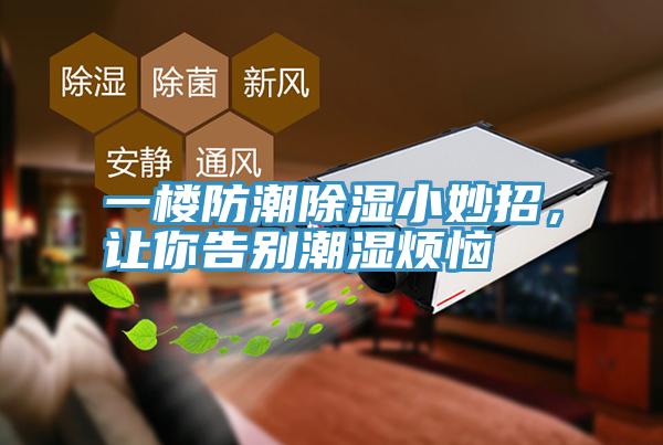 一樓防潮除濕小妙招，讓你告別潮濕煩惱