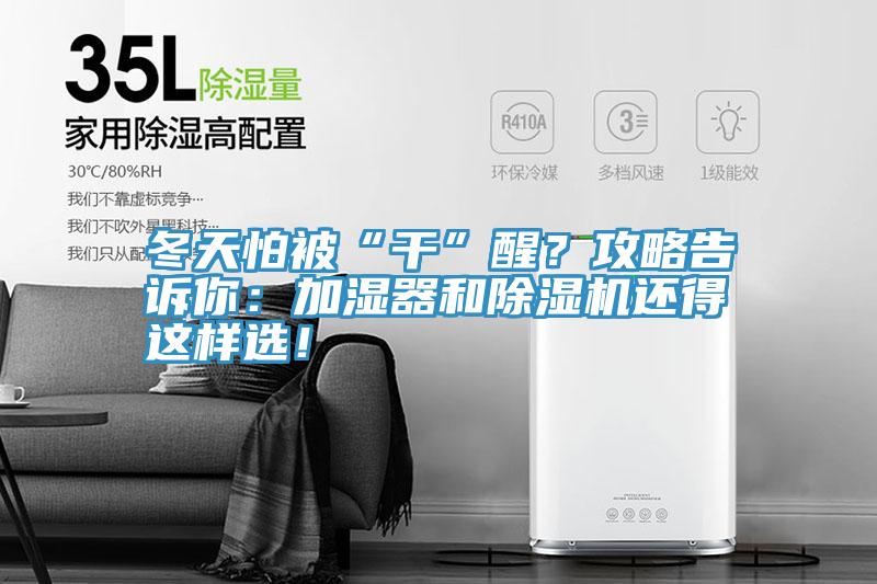 冬天怕被“幹”醒？攻略告訴你：加濕器和PICACG哔咔官网入口還得這樣選！