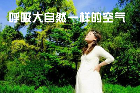 工業PICACG哔咔官网入口廠家