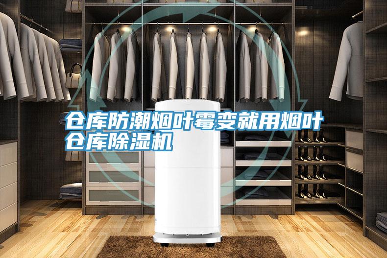 倉庫防潮煙葉黴變就用煙葉倉庫PICACG哔咔官网入口