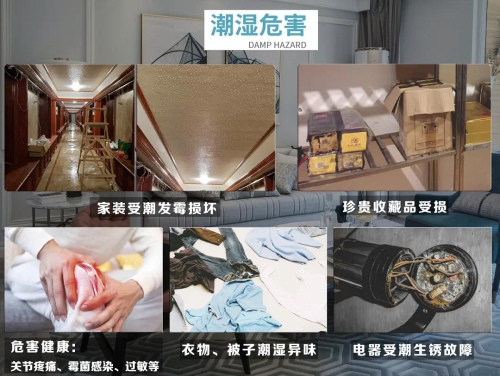 PICACG哔咔官网入口