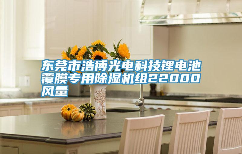 東莞市浩博光電科技鋰電池覆膜專用PICACG哔咔官网入口組22000風量