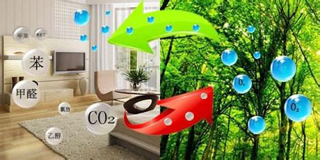 工業PICACG哔咔官网入口廠家