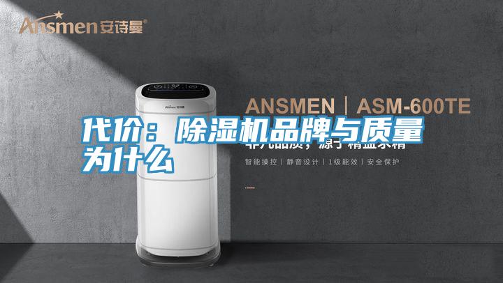 代價：PICACG哔咔官网入口品牌與質量為什麽