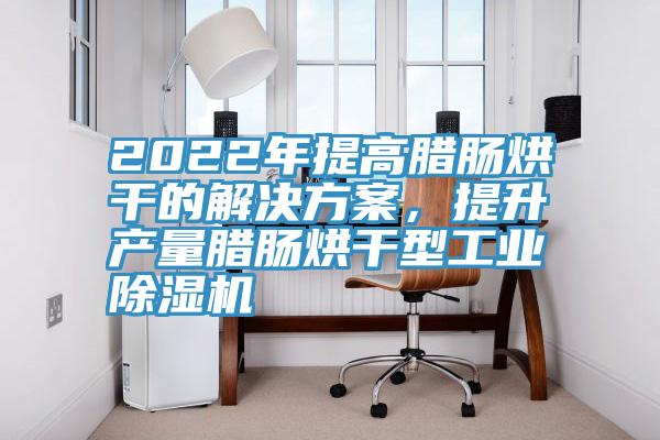 2022年提高臘腸烘幹的解決方案，提升產量臘腸烘幹型工業PICACG哔咔官网入口