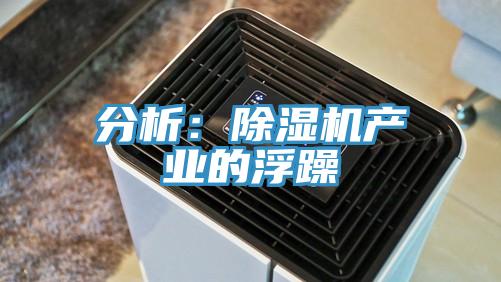 分析：PICACG哔咔官网入口產業的浮躁