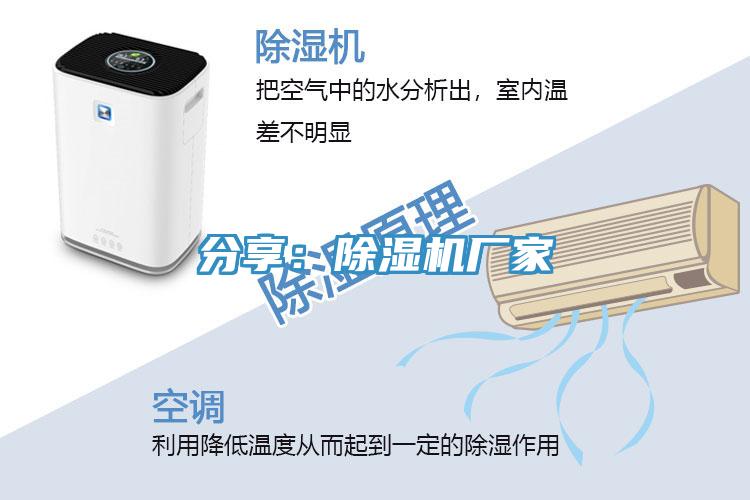 分享：PICACG哔咔官网入口廠家