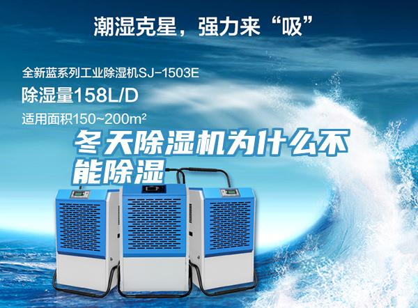 冬天PICACG哔咔官网入口為什麽不能除濕
