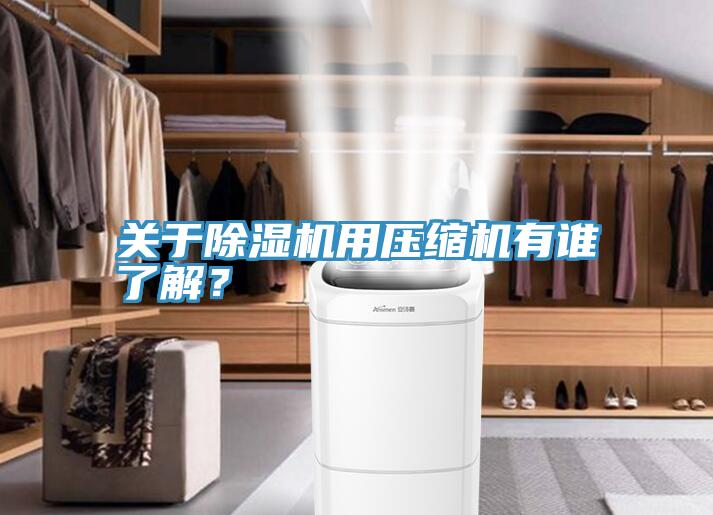 關於PICACG哔咔官网入口用壓縮機有誰了解？