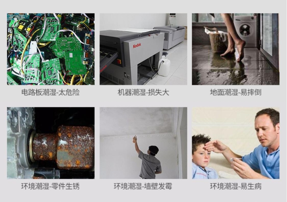 智能PICACG哔咔官网入口