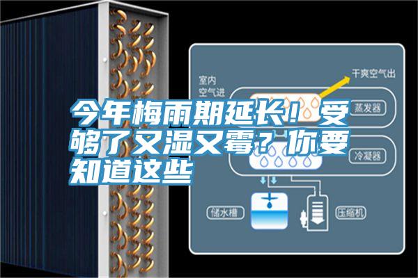 今年梅雨期延長！受夠了又濕又黴？你要知道這些