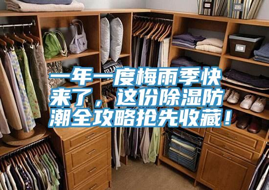 一年一度梅雨季快來了，這份除濕防潮全攻略搶先收藏！