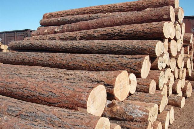 木材幹燥為什麽要用工業PICACG哔咔官网入口