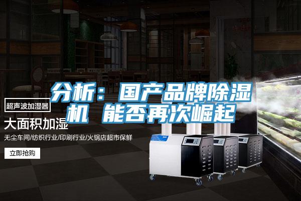 分析：國產品牌PICACG哔咔官网入口 能否再次崛起