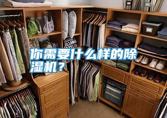 你需要什麽樣的PICACG哔咔官网入口？