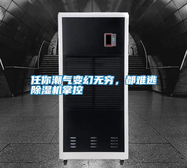 任你潮氣變幻無窮，都難逃PICACG哔咔官网入口掌控