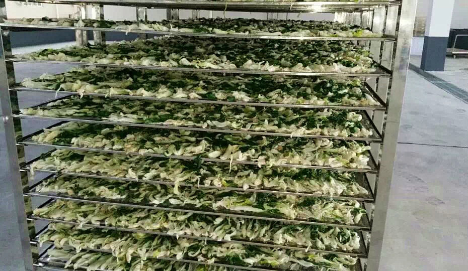 菜幹需求一直都很大，蔬菜烘幹機很有市場