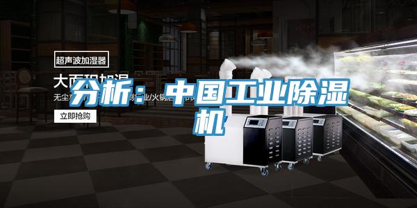 分析：中國工業PICACG哔咔官网入口