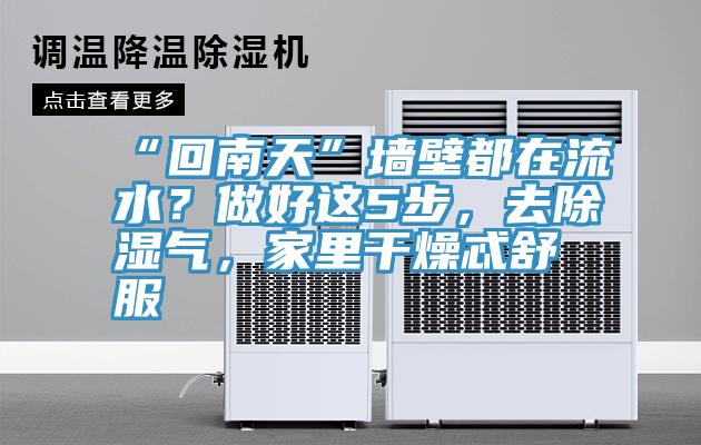 “回南天”牆壁都在流水？做好這5步，去除濕氣，家裏幹燥忒舒服