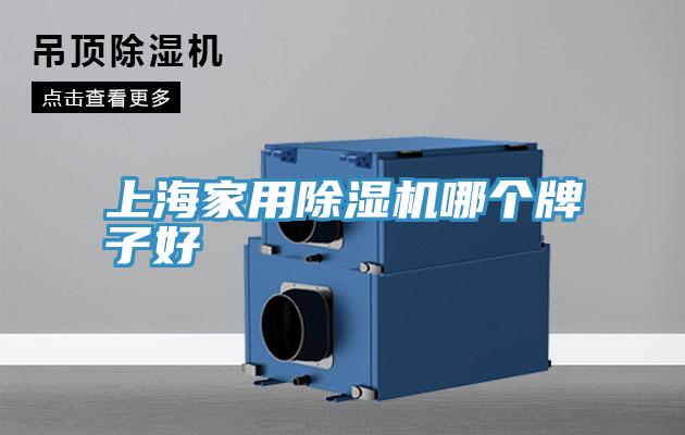 上海家用PICACG哔咔官网入口哪個牌子好