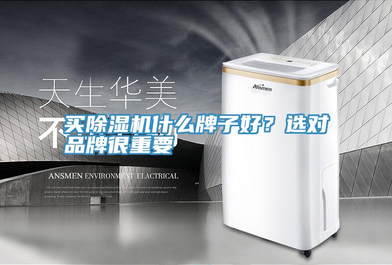 買PICACG哔咔官网入口什麽牌子好？選對品牌很重要