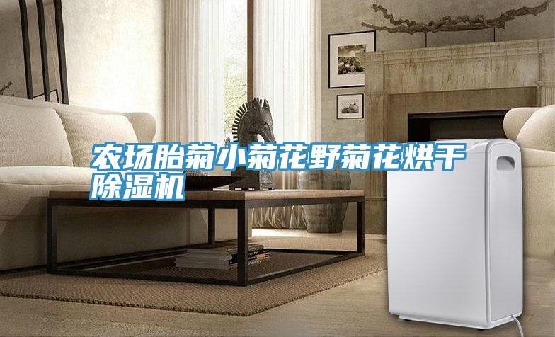 農場胎菊小菊花野菊花烘幹PICACG哔咔官网入口