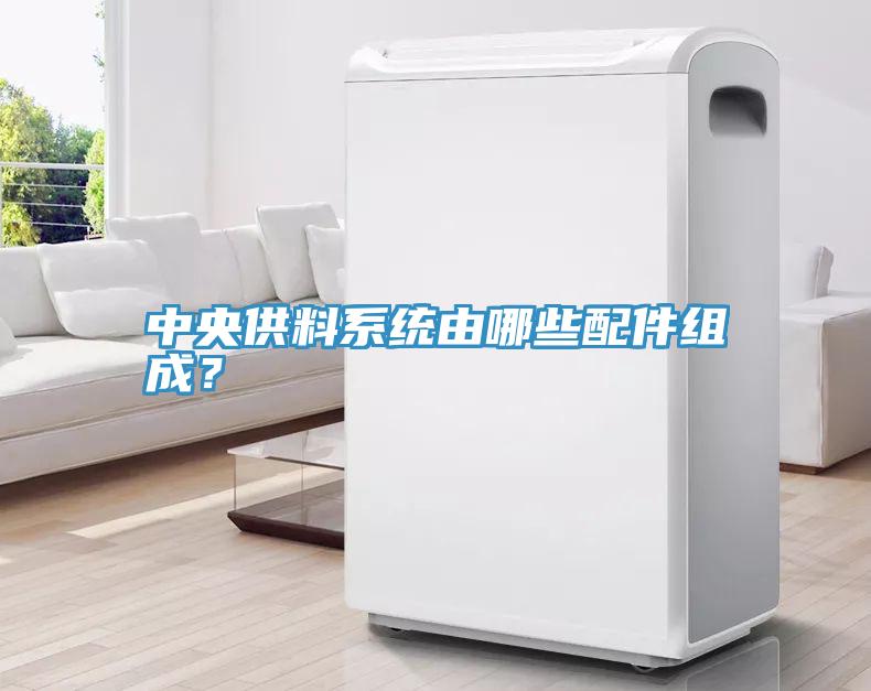 中央供料係統由哪些配件組成？