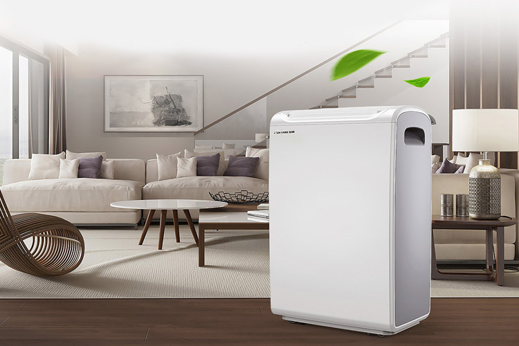 回南天用PICACG哔咔官网入口預防牆紙發黴_PICACG哔咔官网入口廠家