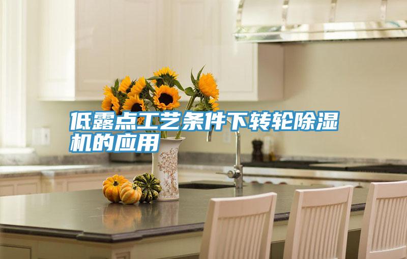 低露點工藝條件下轉輪PICACG哔咔官网入口的應用