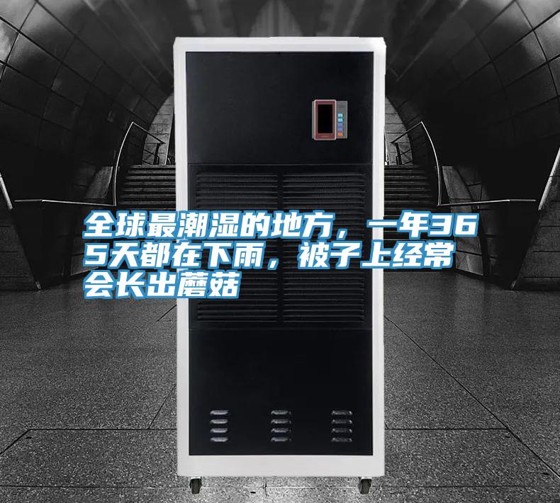全球最潮濕的地方，一年365天都在下雨，被子上經常會長出蘑菇