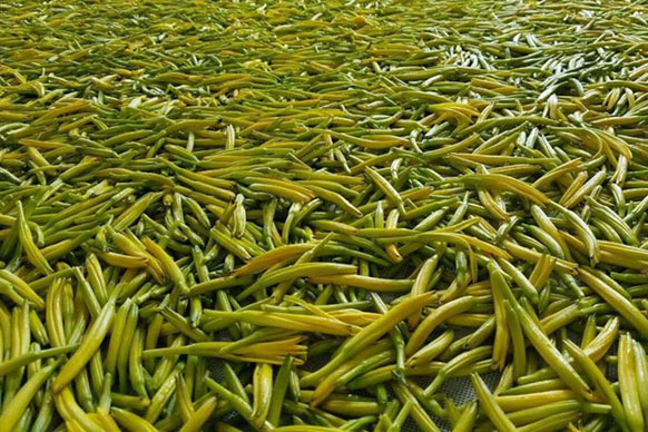 無硫金針菜烘幹如何保持品相？不發黑？_PICACG哔咔官网入口廠家