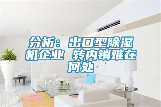 分析：出口型PICACG哔咔官网入口企業 轉內銷難在何處