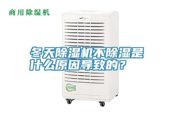 冬天PICACG哔咔官网入口不除濕是什麽原因導致的？