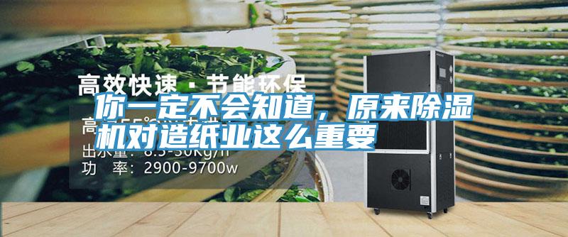 你一定不會知道，原來PICACG哔咔官网入口對造紙業這麽重要