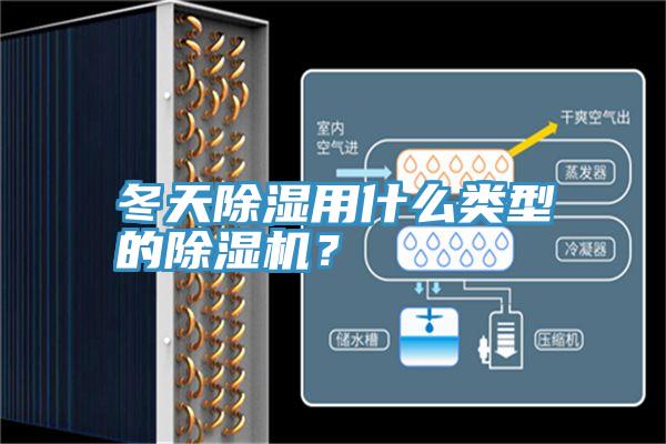 冬天除濕用什麽類型的PICACG哔咔官网入口？