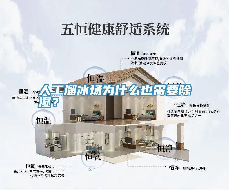 人工溜冰場為什麽也需要除濕？