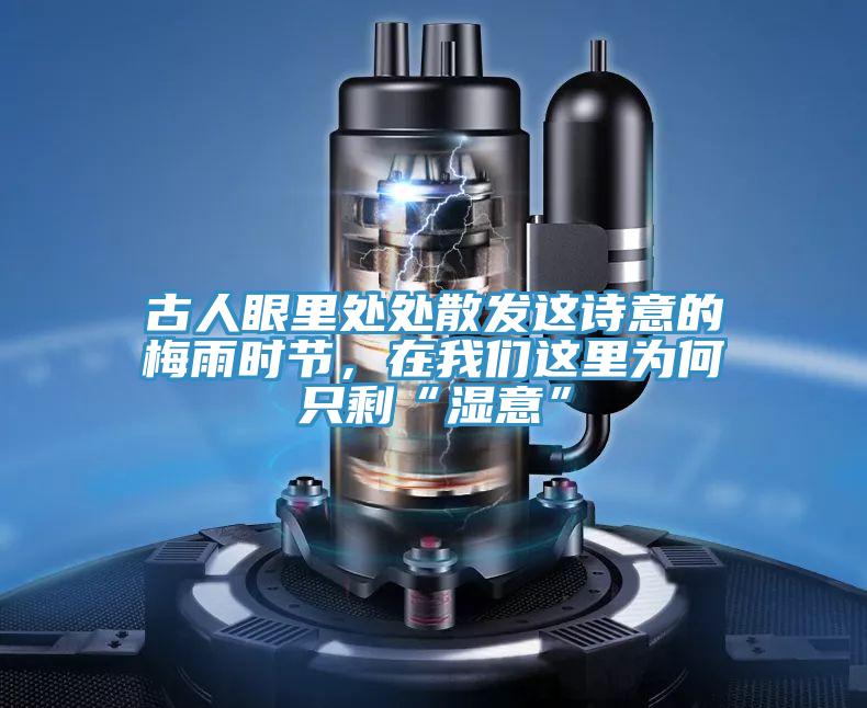 古人眼裏處處散發這詩意的梅雨時節，在哔咔漫画免费观看入口官网這裏為何隻剩“濕意”