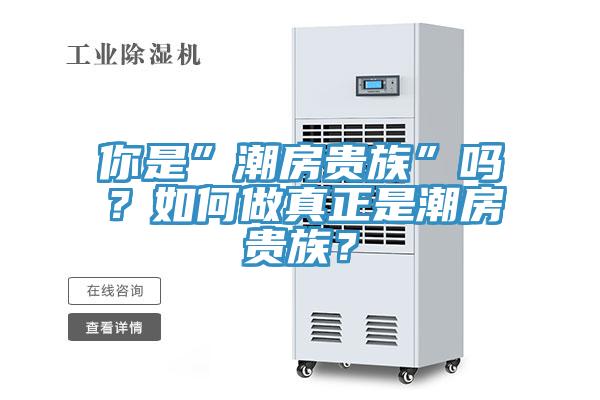 你是”潮房貴族”嗎？如何做真正是潮房貴族？