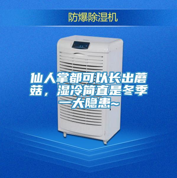 仙人掌都可以長出蘑菇，濕冷簡直是冬季一大隱患~