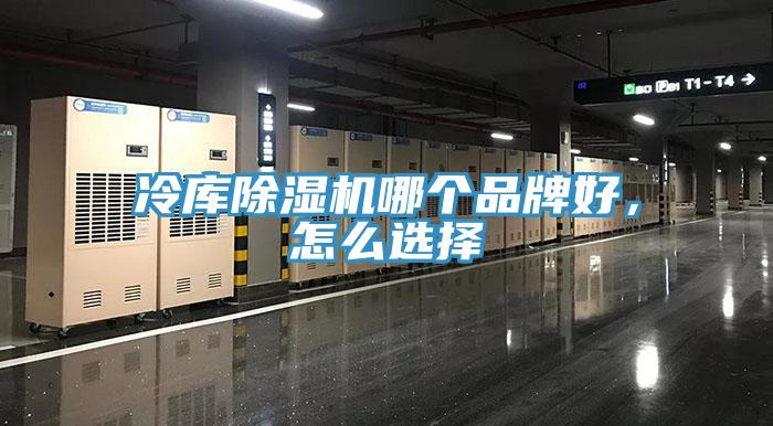 冷庫PICACG哔咔官网入口哪個品牌好，怎麽選擇