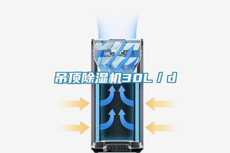 吊頂PICACG哔咔官网入口30L／d