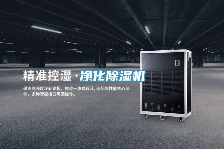 淨化PICACG哔咔官网入口