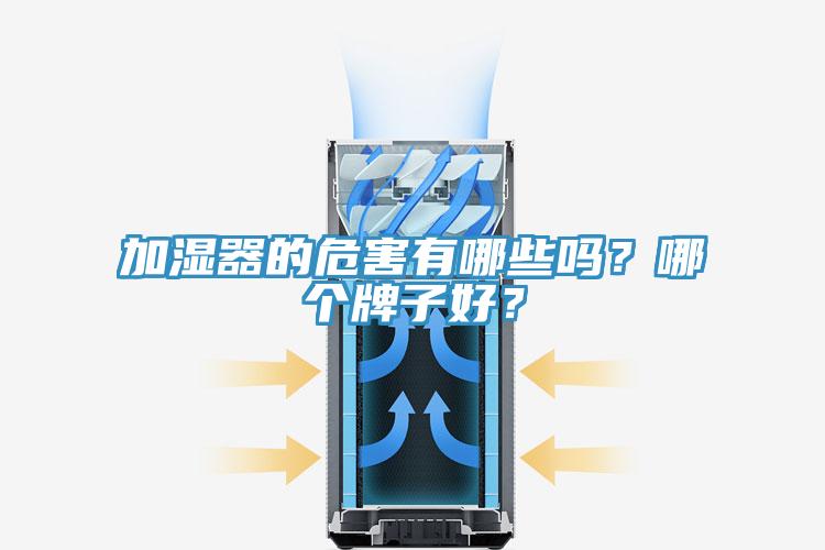 加濕器的危害有哪些嗎？哪個牌子好？