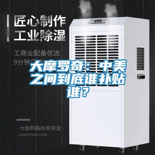 大摩羅奇：中美之間到底誰補貼誰？